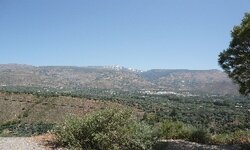 P1010234.jpg