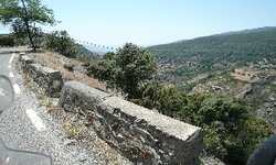 P1010252.jpg