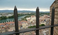 P1010280.jpg