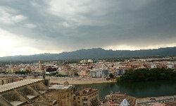 P1010282.jpg