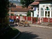 SANY0369c.jpg