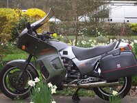 guzzi 002.jpg