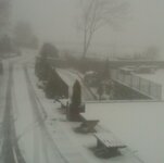 snow.jpg