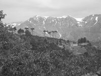 bike pics 2010 0368.jpg