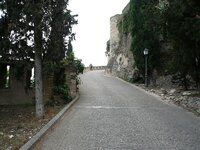 P1010292.jpg