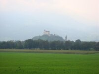 DSC01099.jpg