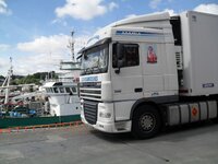 daf.jpg