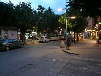 P1010323.jpg