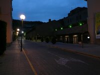 P1010326.jpg
