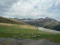 P1010330.jpg