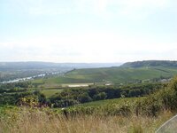 DSC01115.jpg