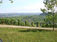 DSC01117.jpg