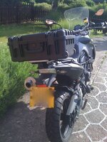 IMG_0114.jpg
