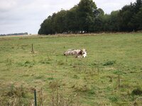 DSC01131.jpg
