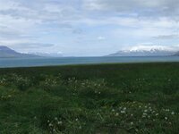 Vatnsnes.jpg
