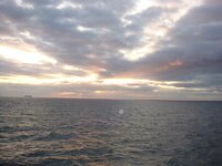 DSC01136.jpg