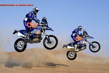 BMW horn.JPG