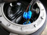 Wee blue things.jpg