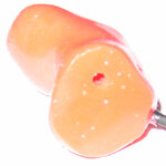 earplug.jpg