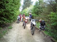 DSC00003.jpg