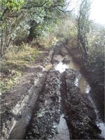 Picture8.jpg