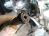 DSCF0099.JPG bleeder.jpg
