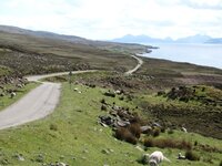 Scottish Road 2.jpg