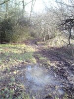 Picture5.jpg