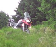 wc04.jpg