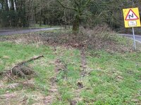 IMG_0338a.jpg