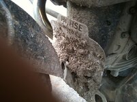 IMG_0210b.jpg