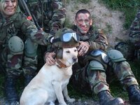 Platoon mascot.JPG