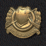 feb_cav_smallbrass2.gif