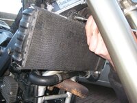 IMG_0774.JPG