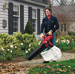 leaf-blower.jpg leaf-blower.jpg