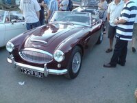 Healey 2.jpg
