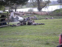 DSCN0968.JPG