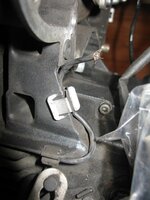 IMG_8433small.JPG
