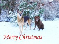 Christmas 2009.jpg