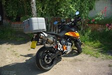 IMGP2379.jpg