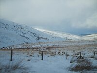 S5003898.jpg