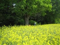 IMG_4096_2.jpg