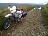 IMG_0488s lq.jpg
