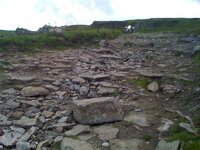 IMG_0520s lq.jpg