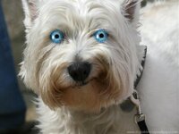 mitziblueyes.jpg