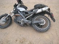 IMG_5504.jpg