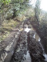 Picture7.jpg