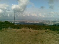 10032010.jpg