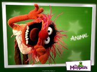 Animal-the-muppets-116865_1024_768.jpg