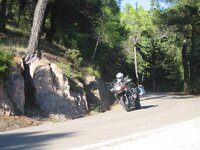 IMG_1175.jpg